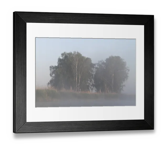 Framed Print : Birch forest near the shore in the fog on the Trebel River Framed Print : Birch forest near the shore in the fog on the Trebel River