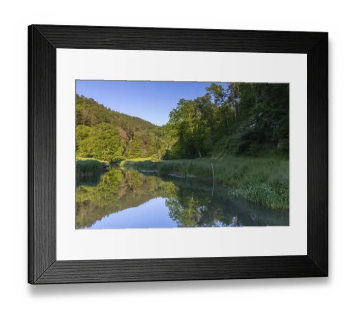 Framed Print : Schmeie, stream, mixed forest, spring Framed Print : Schmeie, stream, mixed forest, spring