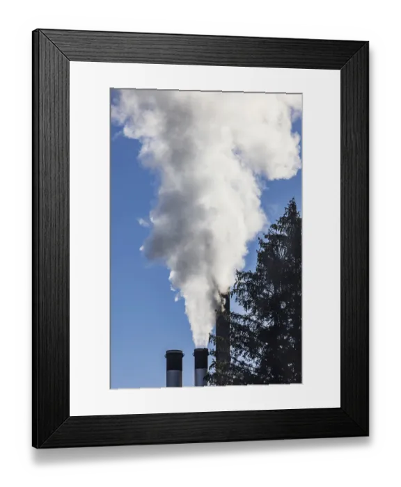 Framed Print : Pollution, industry, smoke coming from a factory chimney near a coniferous forest