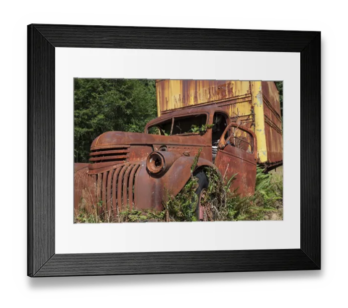 Framed Print : Plants growing out of vintage truck Framed Print : Plants growing out of vintage truck