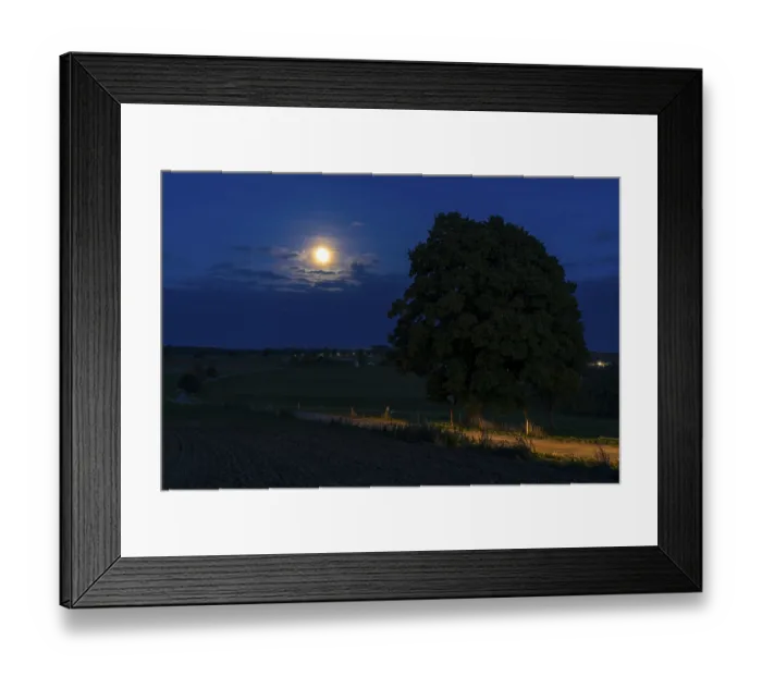 Framed Print : Full moon at the winter lime tree (Tilia cordata) near Leubsdorf