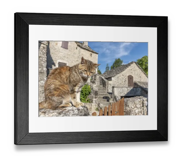 Framed Print : Young cat lying in the morning sun in a stone village Framed Print : Young cat lying in the morning sun in a stone village