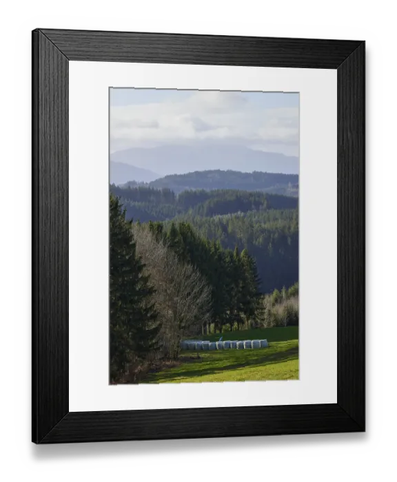 Framed Print : Landscape in the Black Forest with conifers Framed Print : Landscape in the Black Forest with conifers