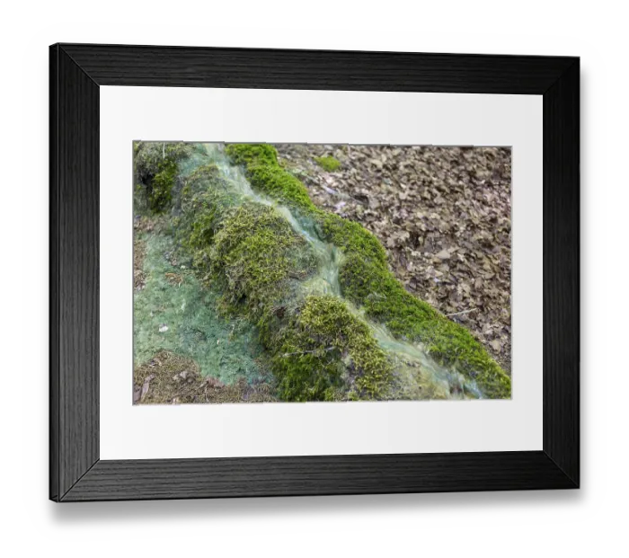 Framed Print : Natural phenomenon in the forest