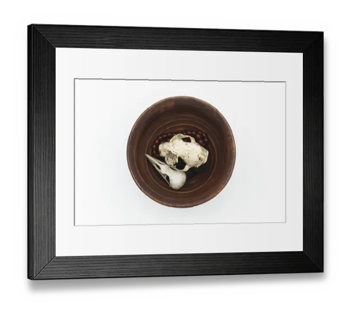 Framed Print : Clay plate with cat and bird skulls on white