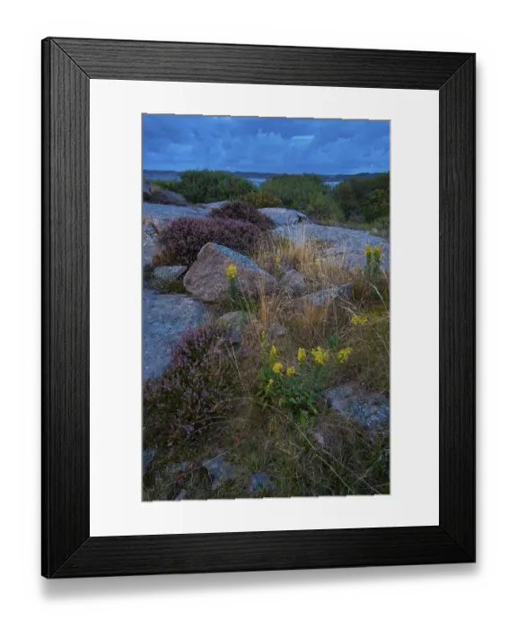 Framed Print : Rocks, coastline at Ramsvik, near Smoegen