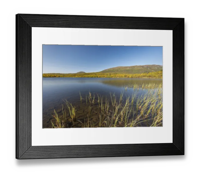 Framed Print : Vuolio Njahkajavri lake, Abisko National Park