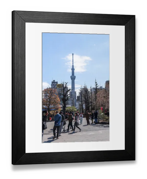 Framed Print : Pedestrians in a pedestrian street