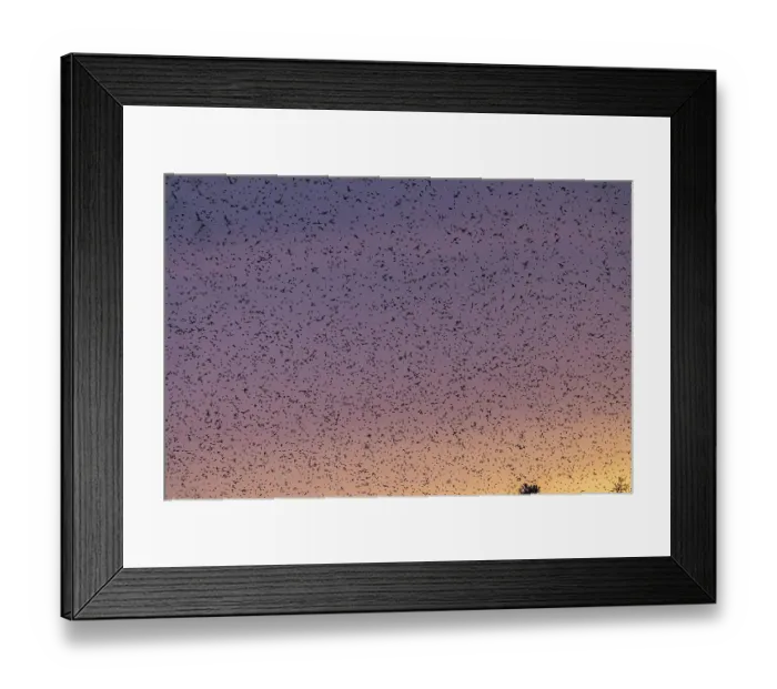 Framed Print : Natural spectacle in the Swabian Alb Framed Print : Natural spectacle in the Swabian Alb