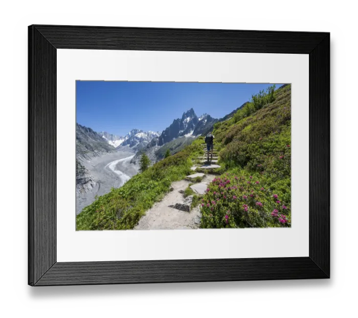 Framed Print : Picturesque mountain landscape with blooming alpine roses