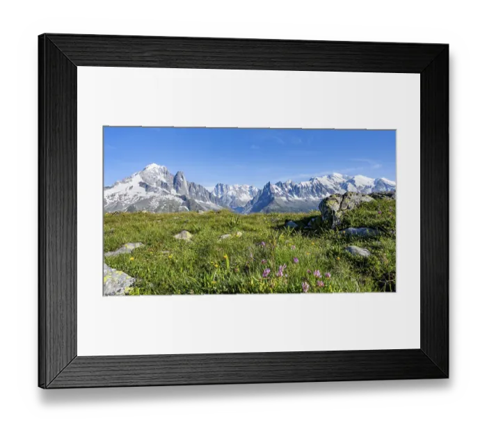 Framed Print : Mountain meadow with flowers, mountain panorama
