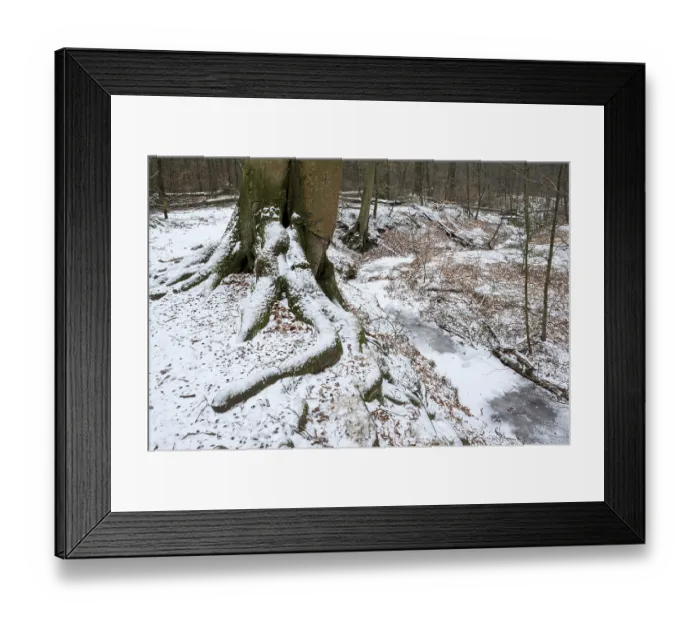 Framed Print : Handbach, tributary to the Rotbach Framed Print : Handbach, tributary to the Rotbach