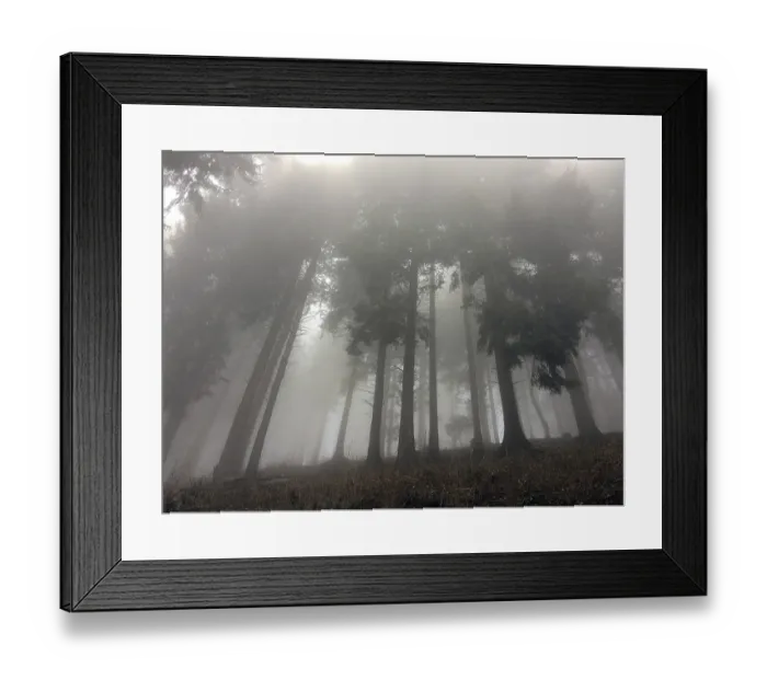 Framed Print : Fog Mist in mountain forest graces through