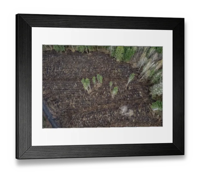 Framed Print : Area in the Arnsberg Forest near Ruethen-Nettelstaedt