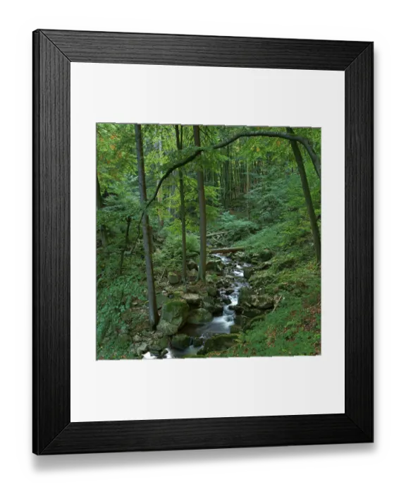 Framed Print : Ilse river, Harz, Ilsenburg, Saxony-Anhalt