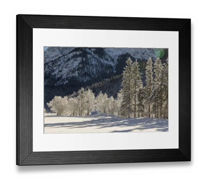 Framed Print : Hoar frosted trees in the Eng valley