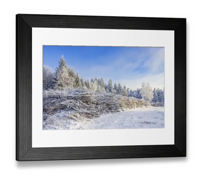 Framed Print : Stacked timber heap by a forest road in a snowy spruce forest a cold winter day