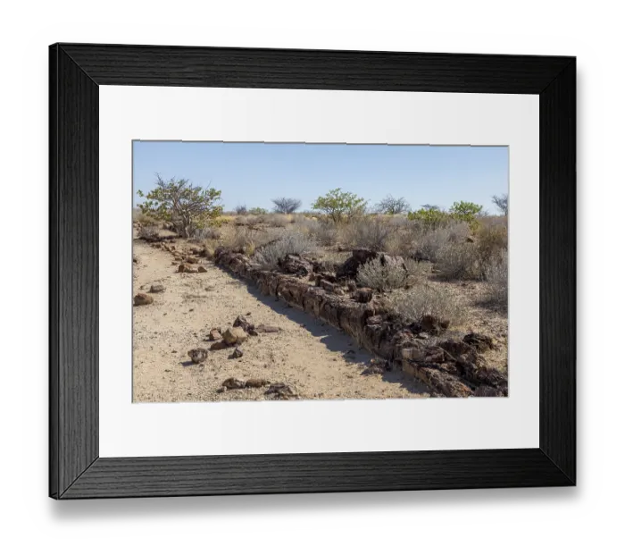 Framed Print : Petrified tree trunk, Petrified Forest Framed Print : Petrified tree trunk, Petrified Forest