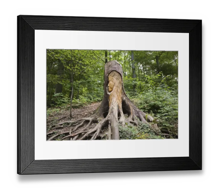 Framed Print : Pfullinger Sagenweg, the face of the Urschel
