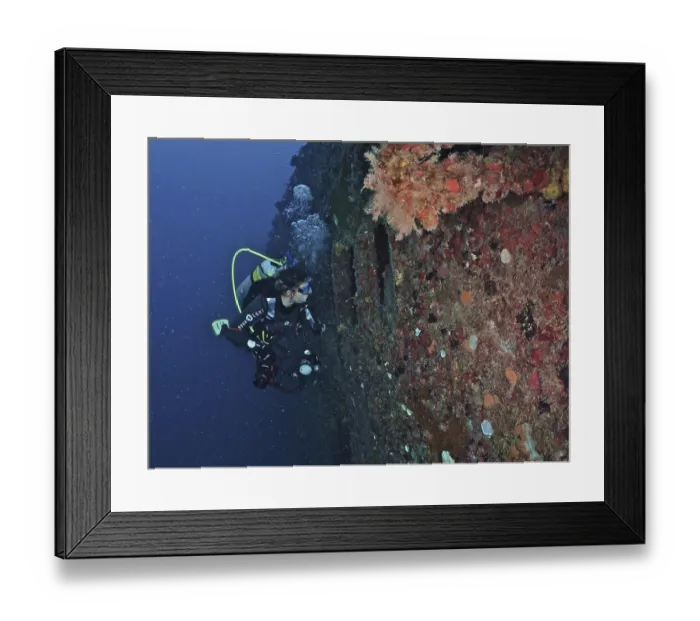 Framed Print : Diver looking into the porthole of the wreck of the USS Spiegel Grove Framed Print : Diver looking into the porthole of the wreck of the USS Spiegel Grove