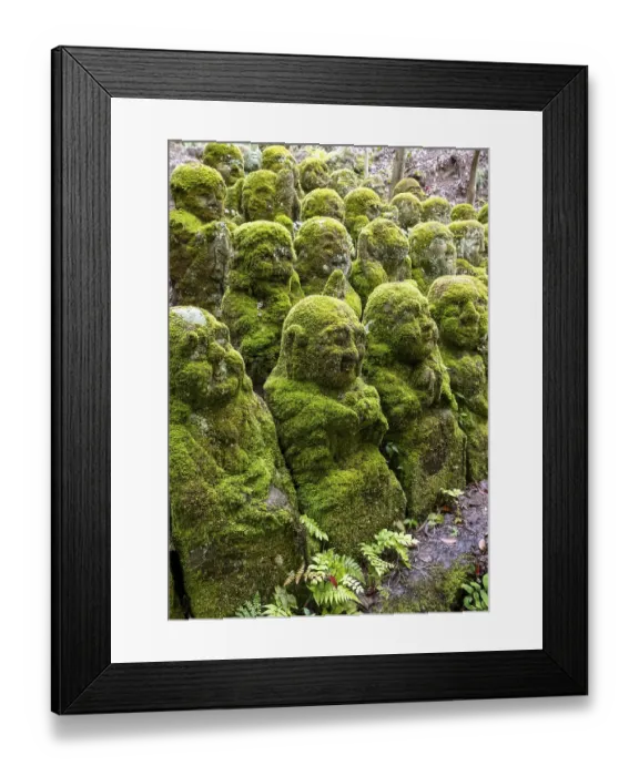 Framed Print : Moss-covered stone statues of rakans