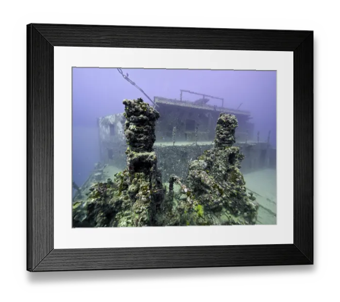 Framed Print : Close-up of a coral-covered shipwreck on the seabed Framed Print : Close-up of a coral-covered shipwreck on the seabed