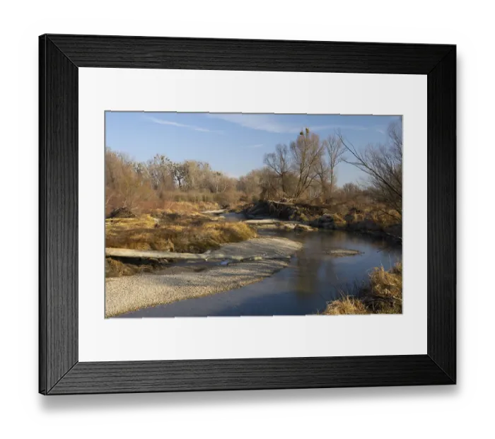 Framed Print : Alluvial forest, Danube Floodplains National Park Framed Print : Alluvial forest, Danube Floodplains National Park