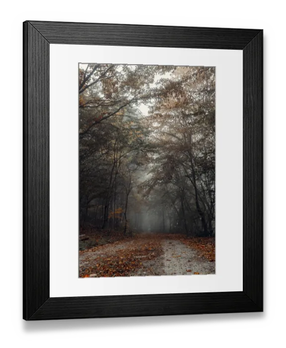Framed Print : Forest path with autumn leaves and fog