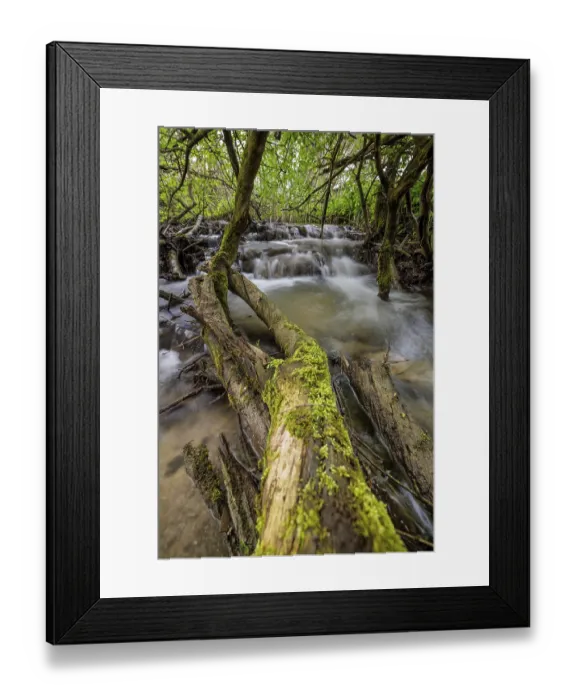 Framed Print : A moss-covered tree trunk lies in a small waterfall in a dense forest Framed Print : A moss-covered tree trunk lies in a small waterfall in a dense forest