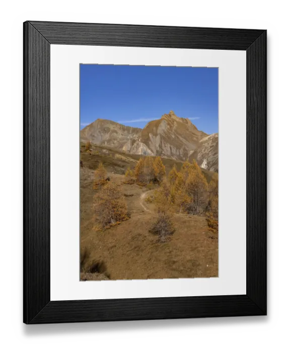 Framed Print : Autumnal larch forests, view of the Niwen