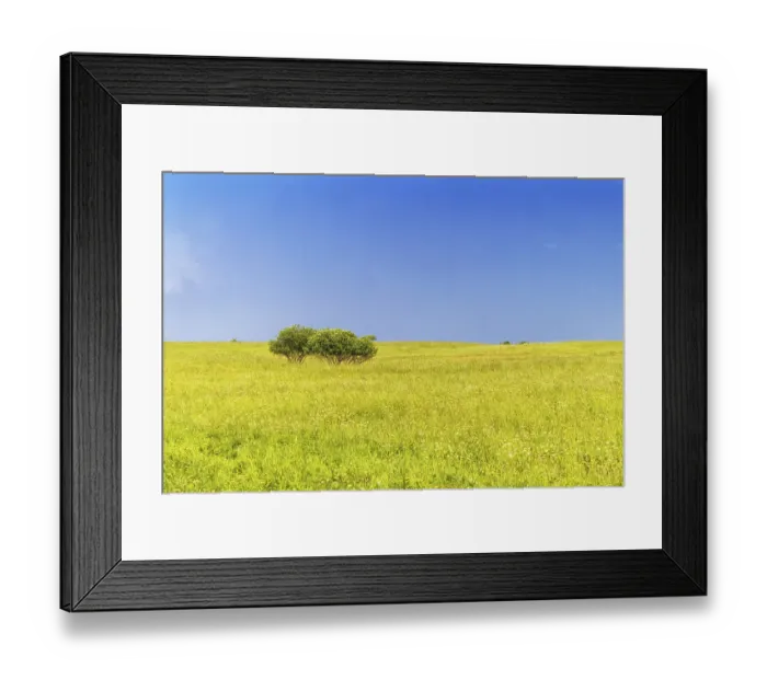 Framed Print : Rural landscape with group of trees and evening sky with clouds Framed Print : Rural landscape with group of trees and evening sky with clouds