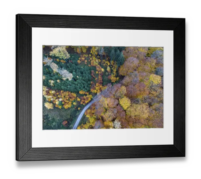 Framed Print : Autumn coloured mixed forest, aerial photo Framed Print : Autumn coloured mixed forest, aerial photo