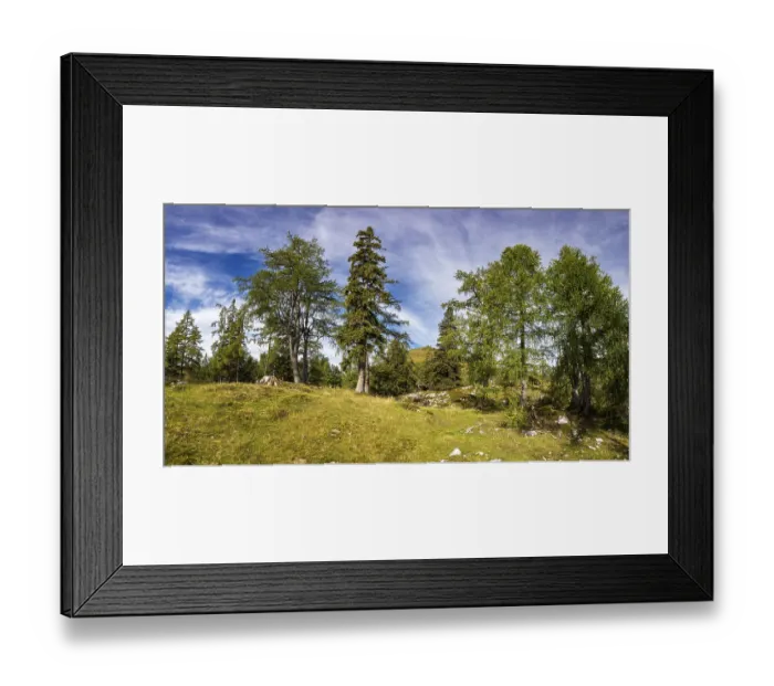Framed Print : Hiking trail through a lark forest to the Pitscherberg