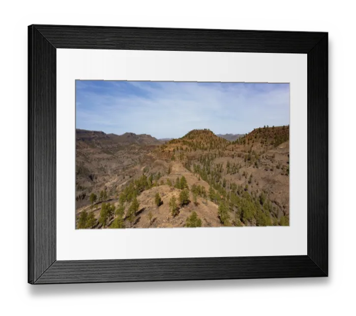 Framed Print : Pine forest in the Palmitos Mountains Framed Print : Pine forest in the Palmitos Mountains