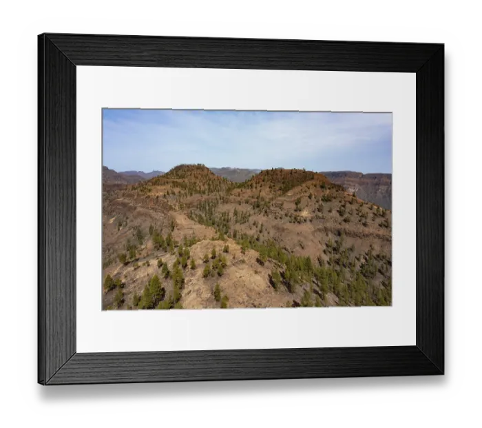 Framed Print : Drone image, pine forest in the Palmitos Mountains