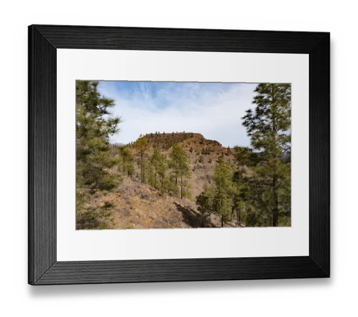 Framed Print : Pine forest in the Palmitos Mountains