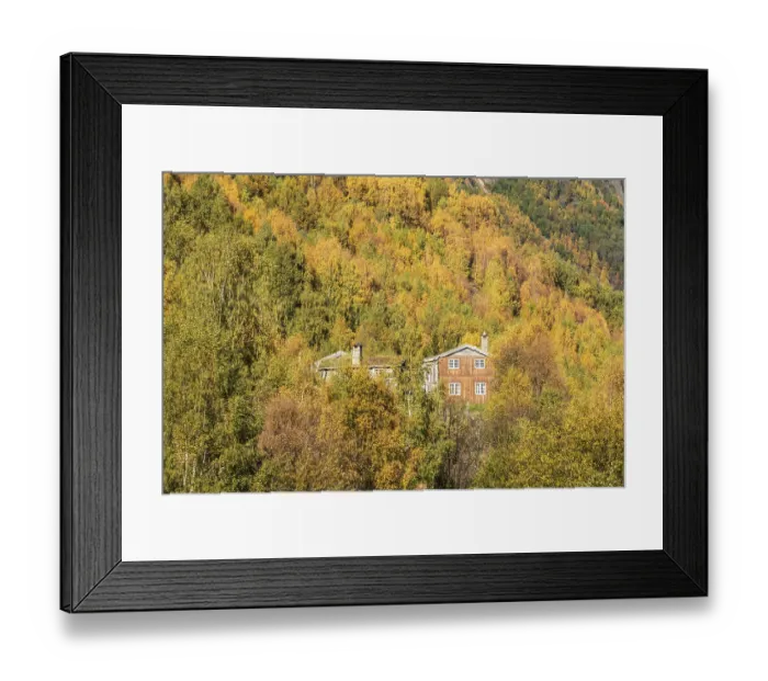 Framed Print : Scenery along the Sognefjell road