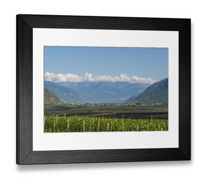 Framed Print : Vineyards in the valley in front of the mountains Framed Print : Vineyards in the valley in front of the mountains