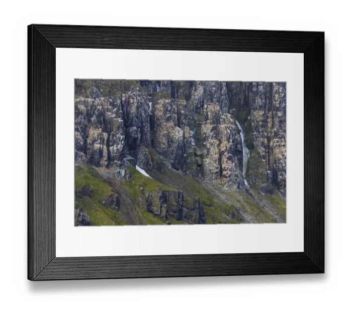 Framed Print : Seabird breeding colony in basalt cliff Alkefjellet Framed Print : Seabird breeding colony in basalt cliff Alkefjellet