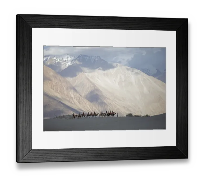 Framed Print : Riders on Bactrian camels in the Nubra Sand Dunes