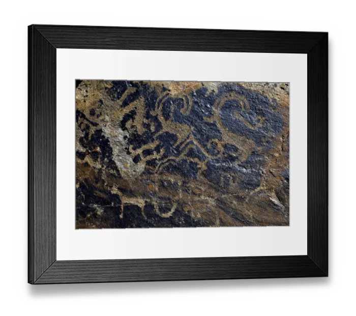 Framed Print : Petroglyph of a Snow leopards (Panthera uncia) and of Siberian ibex (Capra sibirica) Framed Print : Petroglyph of a Snow leopards (Panthera uncia) and of Siberian ibex (Capra sibirica)