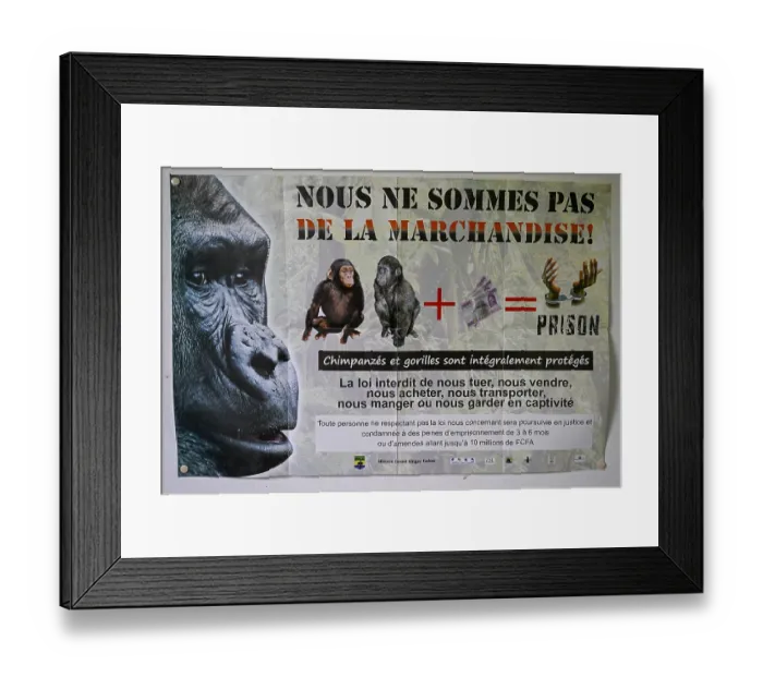 Framed Print : Poster against wildlife trafficking in a ranger station