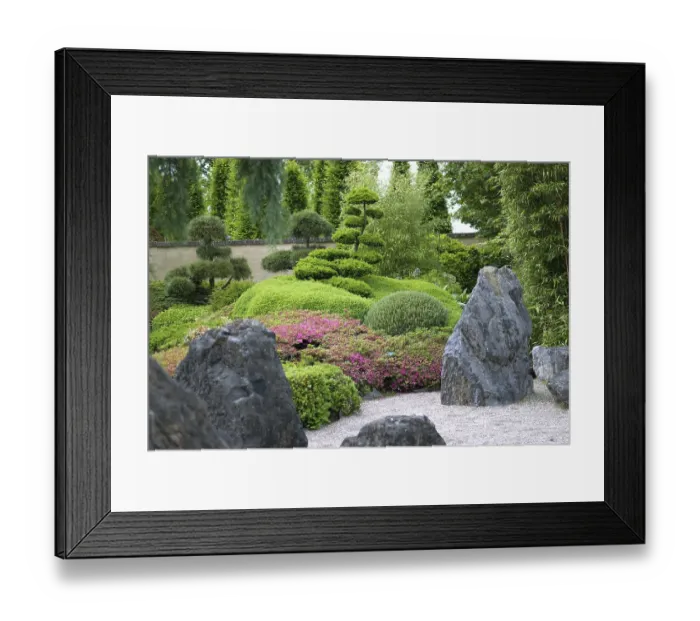 Framed Print : Japanese garden (Rhododendron obtusum) Framed Print : Japanese garden (Rhododendron obtusum)
