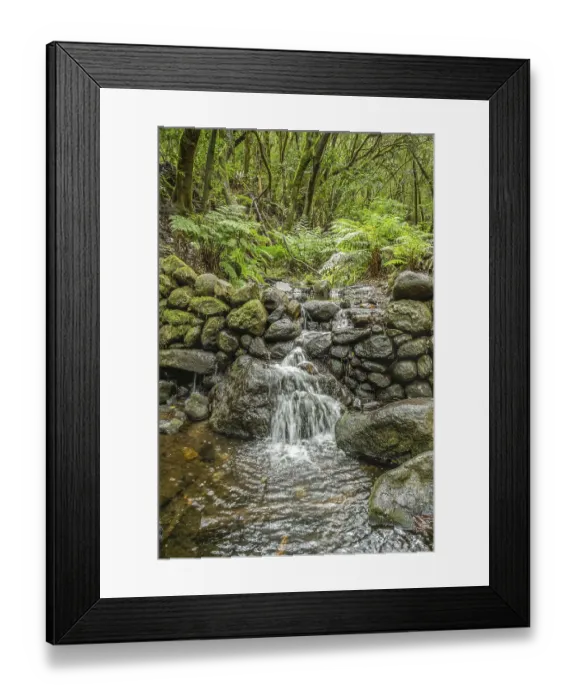 Framed Print : Watercourse, Barranco del Cedro stream in the laurel forest in Garajonay National Park Framed Print : Watercourse, Barranco del Cedro stream in the laurel forest in Garajonay National Park