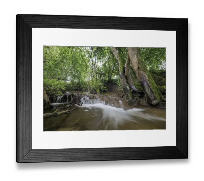Framed Print : A wide stream flows through a lush forest with large Framed Print : A wide stream flows through a lush forest with large