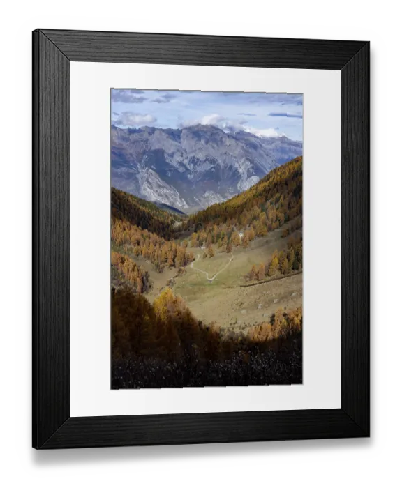 Framed Print : Autumnal larch forests with a view of the main valley of the Valais