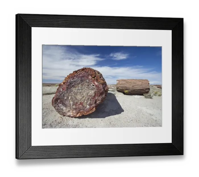 Framed Print : Petrified trees, Petrified Forest National Park