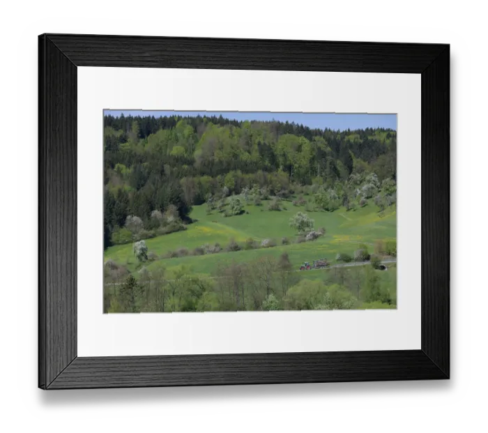 Framed Print : Spring in the Swabian-Franconian Forest nature park Park