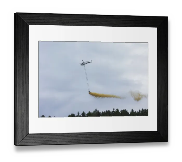 Framed Print : Forest liming Framed Print : Forest liming