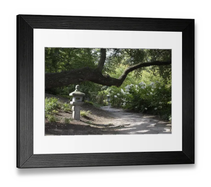 Framed Print : Japanese garden